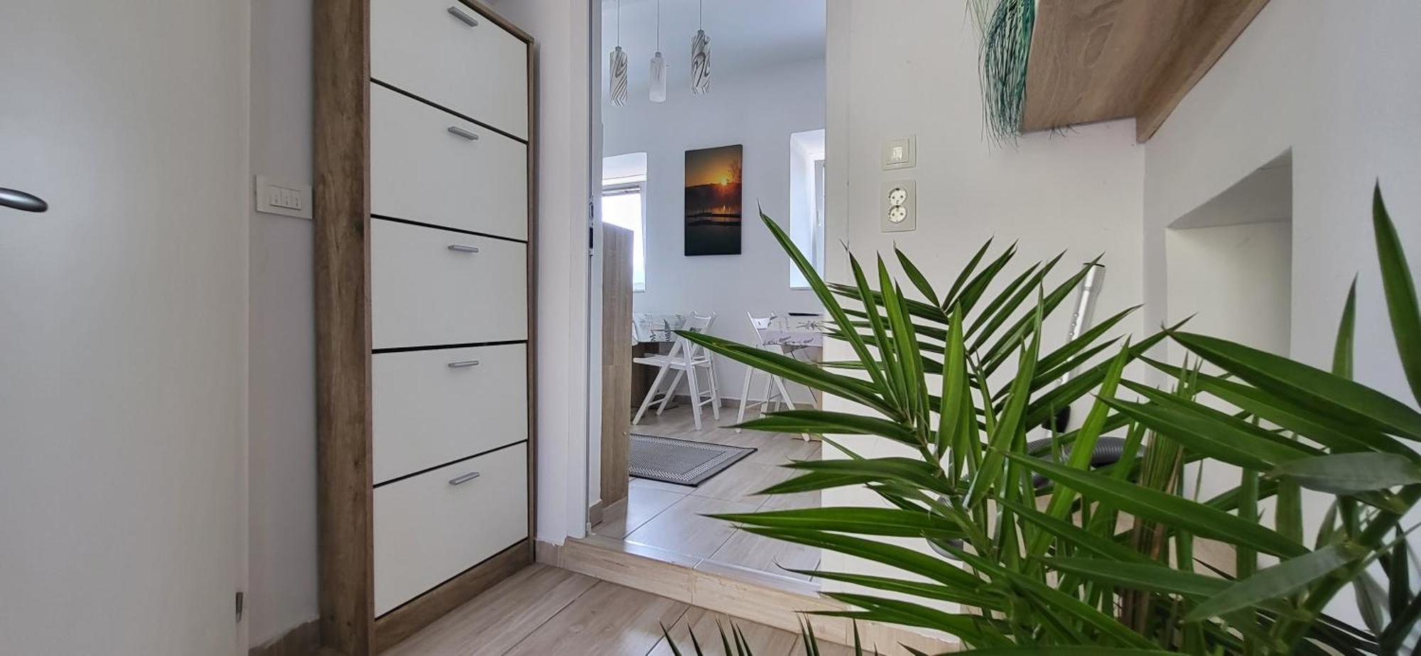Lesce Hostel Εξωτερικό φωτογραφία
